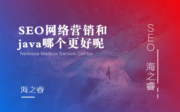 SEO網(wǎng)絡(luò)營銷和java哪個更好呢